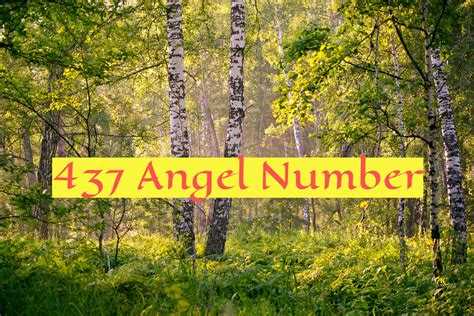 437 meaning love|Number 437 Meaning & Significance (Angel, Spiritual,。